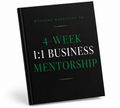 1:1 Business Mentorship