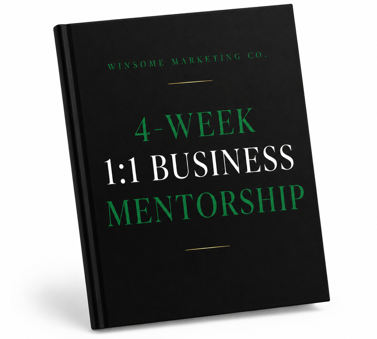 1:1 Business Mentorship